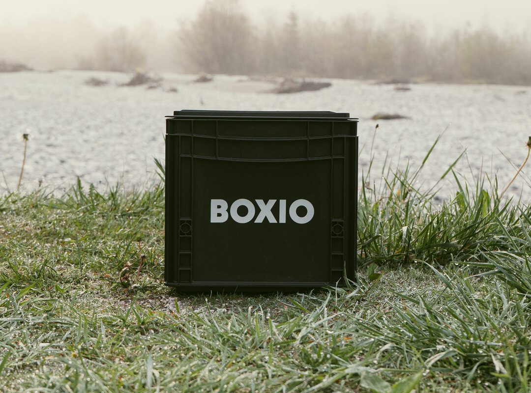 Eine Boxio die im Garten steht.