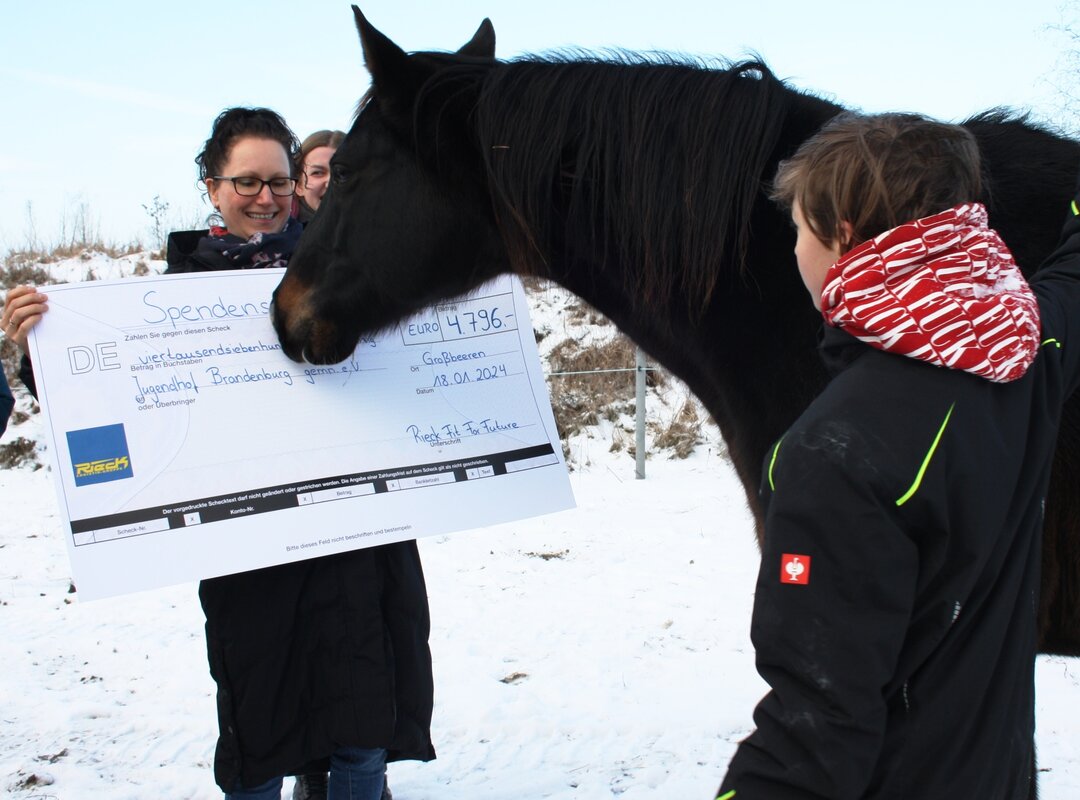 Personen übergeben einem schwarzen Pferd einen großen Scheck im Schnee.