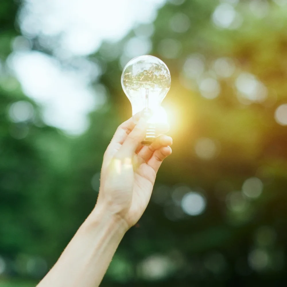 Hand hält eine leuchtende Glühbirne vor unscharfem, grünem Hintergrund.